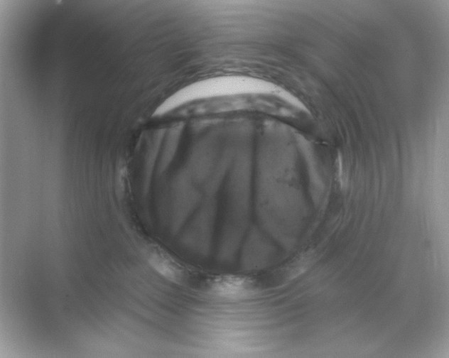 X0000068890235200606021927