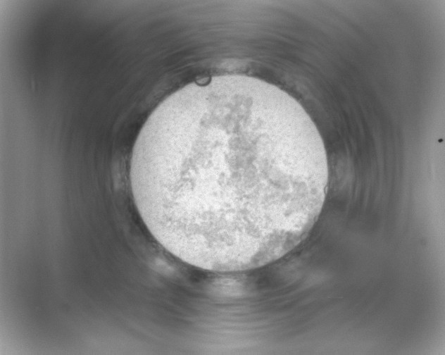 X0000068890236200606021927