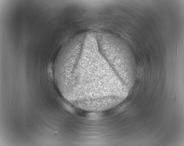 X0000068890238200606021927