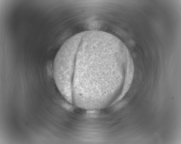 X0000068890240200606021927