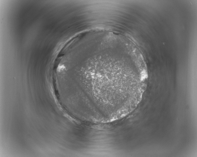 X0000068890241200606021926