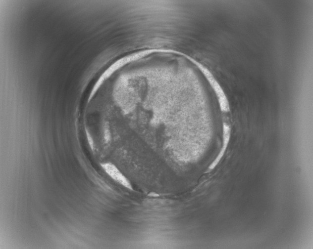 X0000068890242200606021927