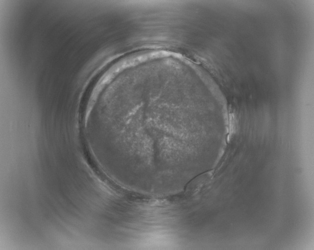 X0000068890243200606021927