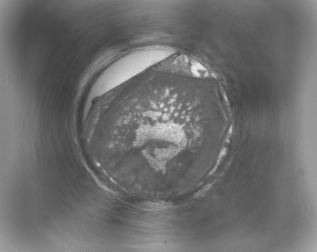 X0000068890245200606021927