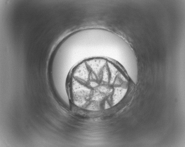 X0000068890248200606021927