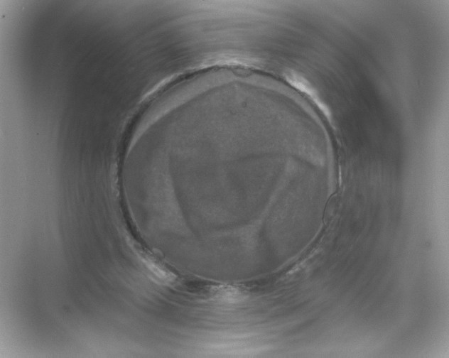 X0000068890249200606021927