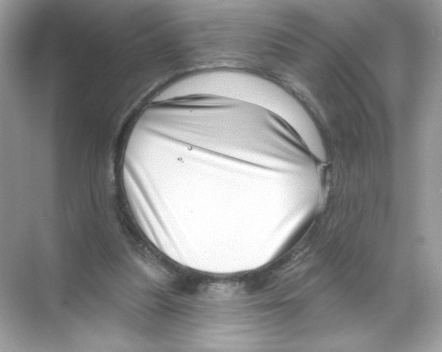 X0000068890251200606021927