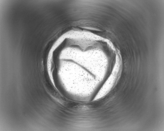 X0000068890254200606021927