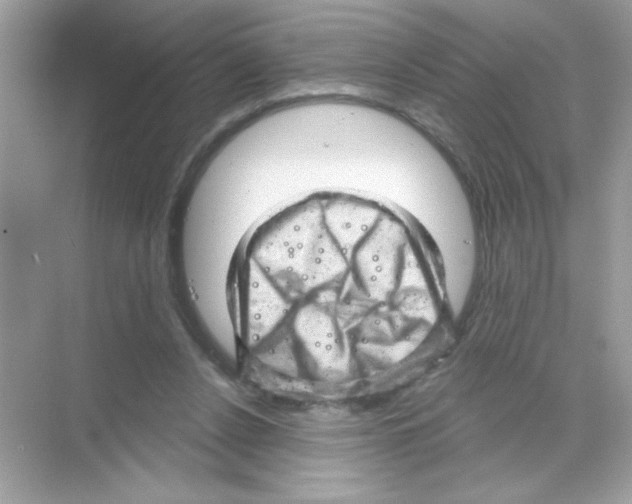 X0000068890256200606021927