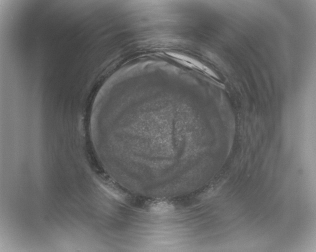 X0000068890258200606021927