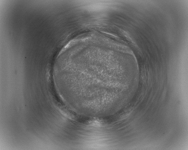 X0000068890259200606021927