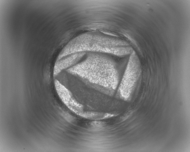 X0000068890261200606021927