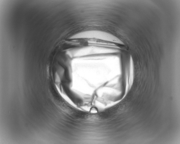 X0000068890262200606021927