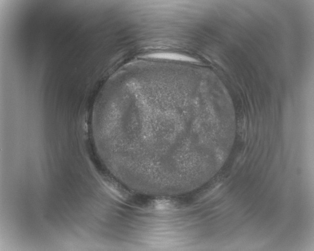 X0000068890264200606021927