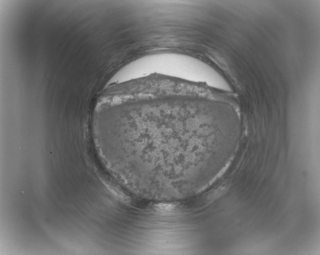 X0000068890265200606021927