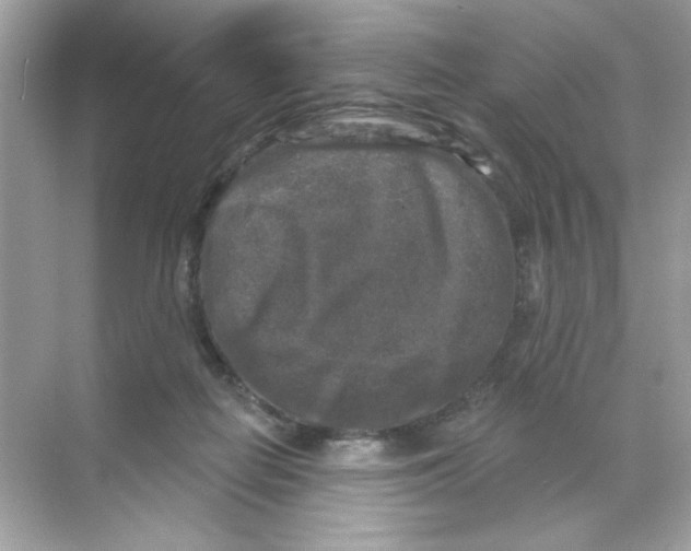 X0000068890266200606021927