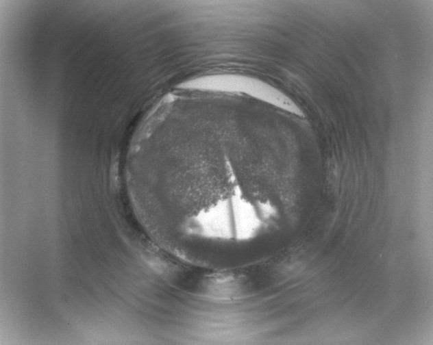 X0000068890267200606021927