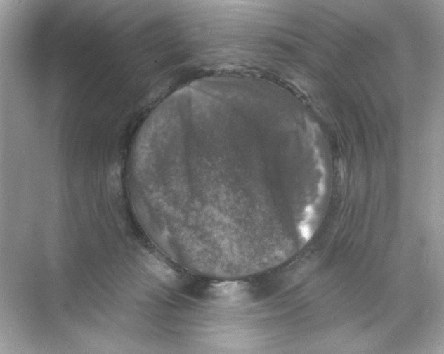 X0000068890269200606021927