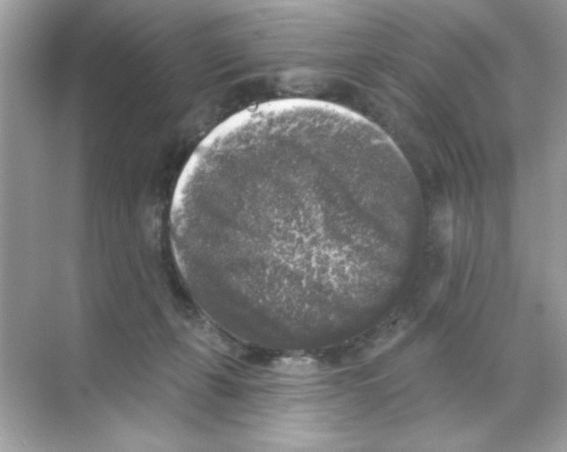 X0000068890271200606021927