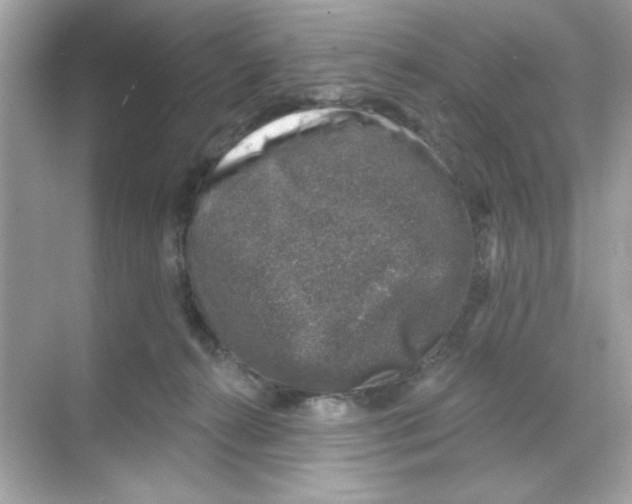 X0000068890272200606021927