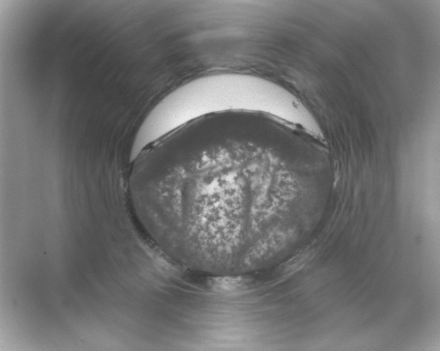 X0000068890273200606021927