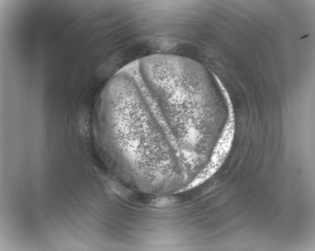 X0000068890274200606021927