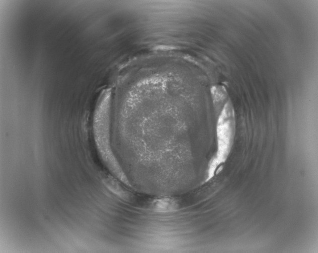 X0000068890275200606021927