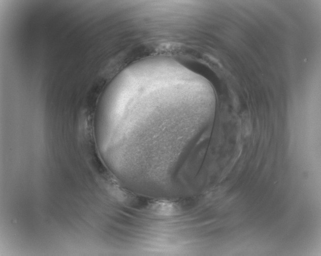 X0000068890276200606021927