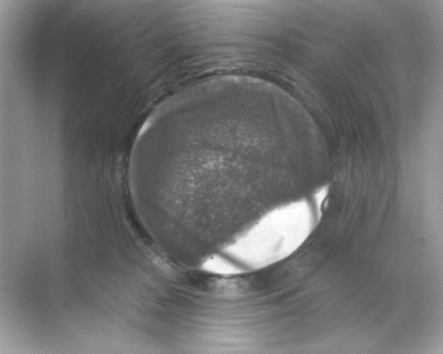 X0000068890277200606021927