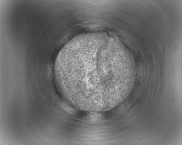 X0000068890278200606021927