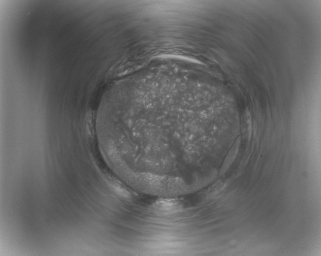 X0000068890280200606021927