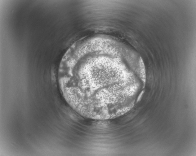 X0000068890282200606021927