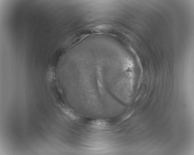 X0000068890284200606021927