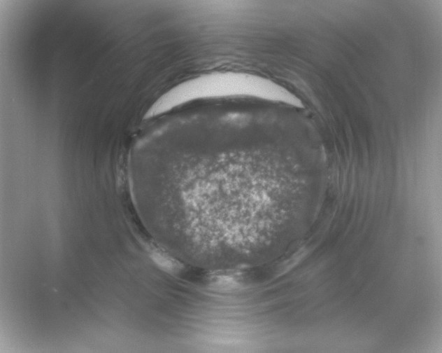 X0000068890285200606021927