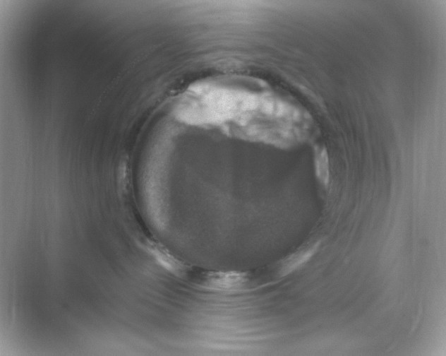 X0000068890288200606021927