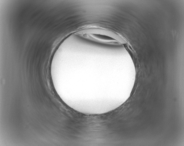 X0000068890289200606021926