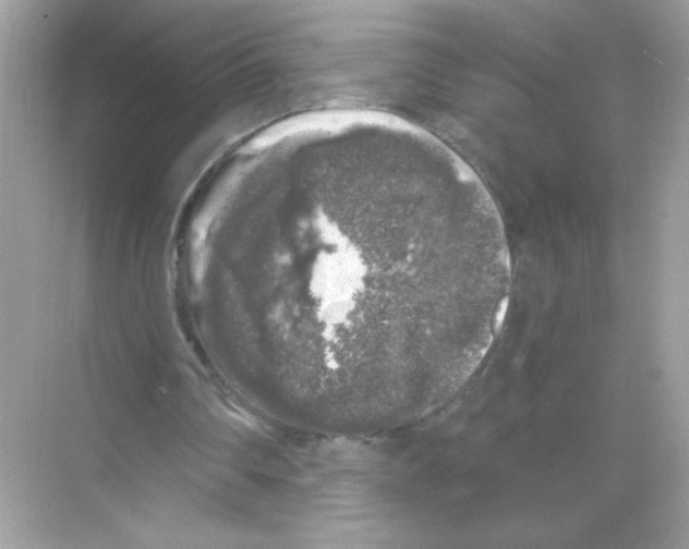 X0000068890290200606021926