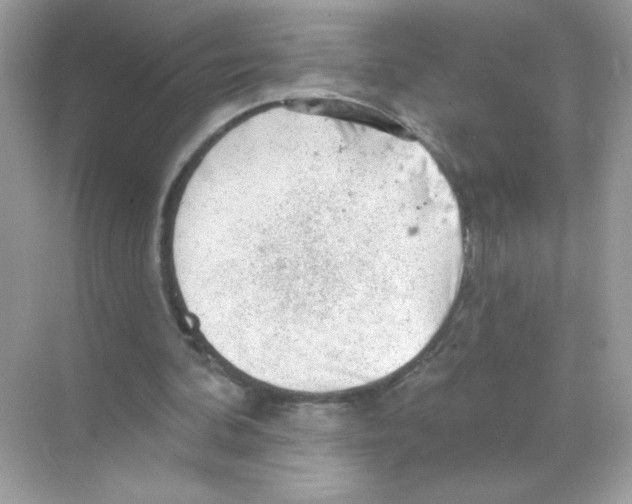 X0000068890292200606021926