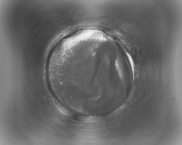 X0000068890293200606021926