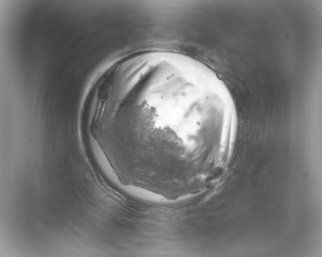 X0000068890294200606021926