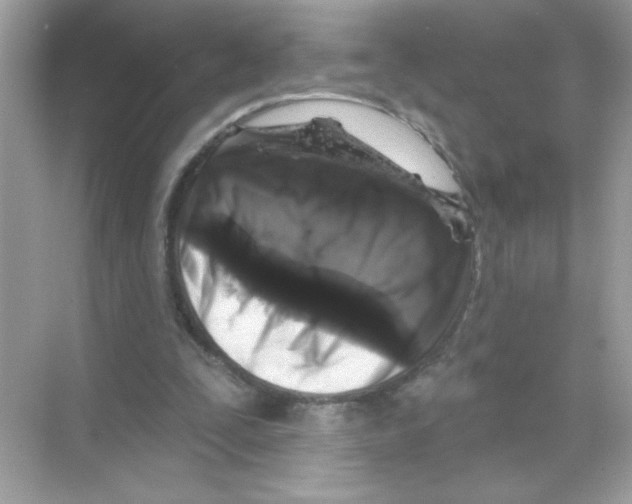 X0000068890295200606021926