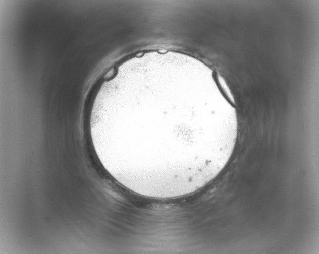 X0000068890296200606021926