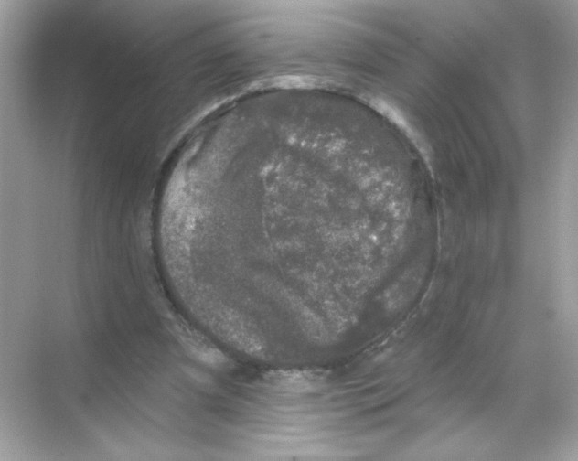 X0000068890297200606021926