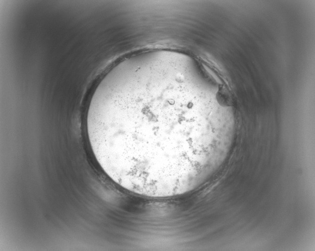 X0000068890298200606021926