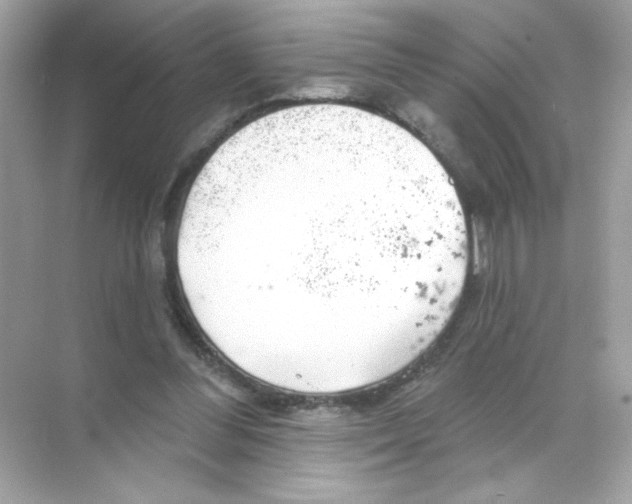 X0000068890300200606021926