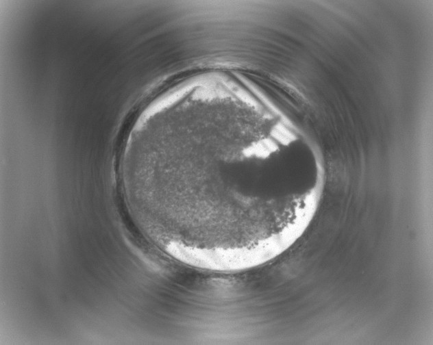 X0000068890302200606021926