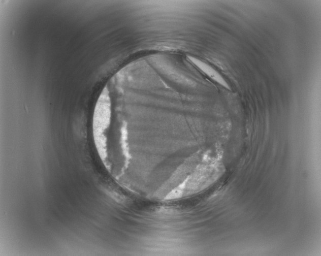 X0000068890303200606021926