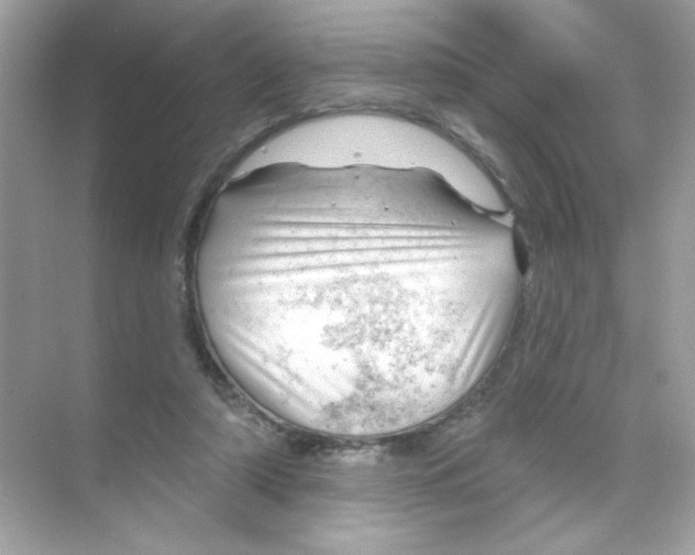 X0000068890306200606021926