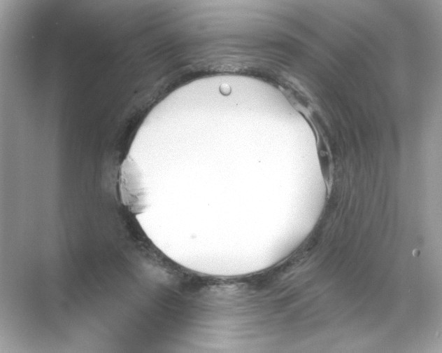 X0000068890307200606021926