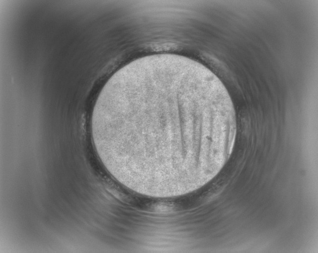 X0000068890308200606021926